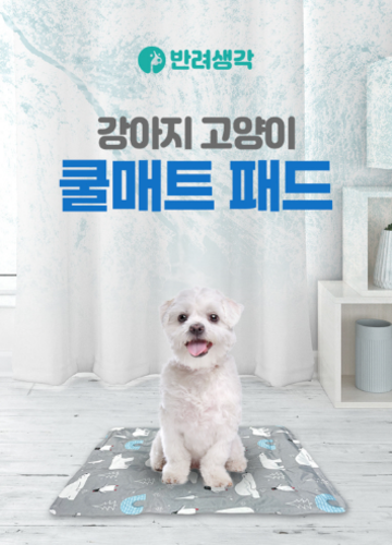 [반려생각] 강아지 고양이 쿨매트 패드
