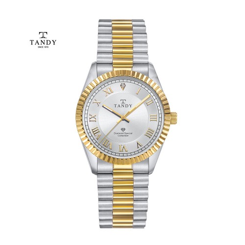 탠디시계 사파이어 다이아라인  TS-303 M GOLD / 남성용 / 두번째