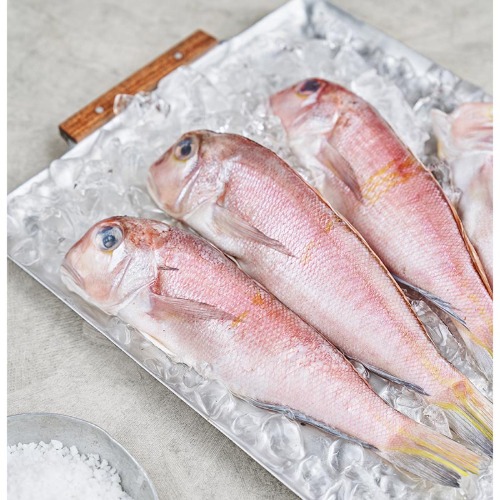 제주하우스수산 통옥돔 1팩 x 200g