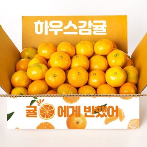 제주하우스 하우스감귤 중대과 L~2L 4.5kg
