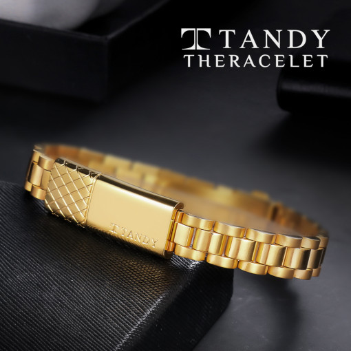 탠디(TANDY) 테라슬릿 팔찌 TH701M GD